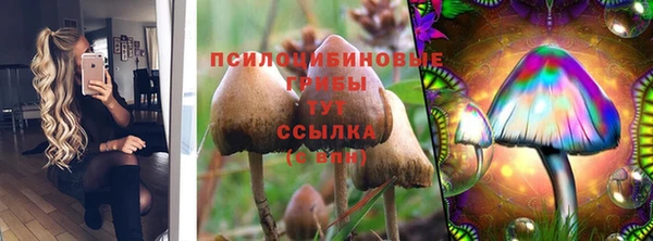 apvp Гвардейск