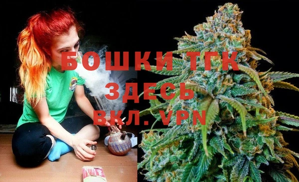 тгк Богданович