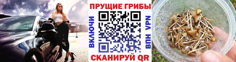 omg маркетплейс Нерюнгри Галлюциногенные грибы прущие грибы